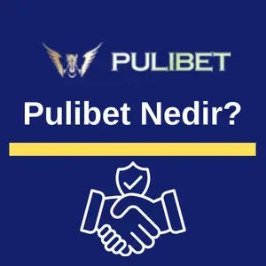 Pulibet Nedir